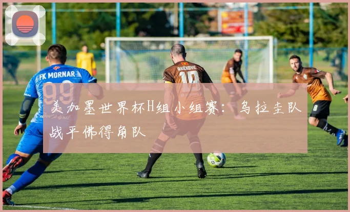 美加墨世界杯H组小组赛：乌拉圭队战平佛得角队