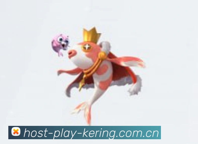 联系我们